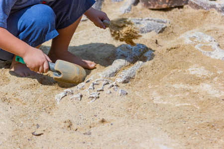 Children learning about, Excavating dinosaur fossils simulation in the park.の写真素材