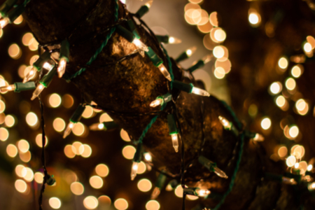 Decorative outdoor string lights hanging on tree in the garden at night time festivals season - decorative Christmas lights - happy new yearの写真素材