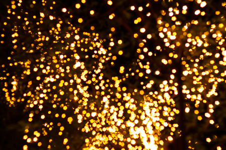 Blurred image Decorative outdoor string lights hanging on tree in the garden at night time festivals season - decorative Christmas lights - happy new yearの写真素材