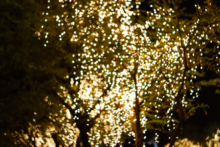 Blurred image Decorative outdoor string lights hanging on tree in the garden at night time festivals season - decorative Christmas lights - happy new yearの写真素材