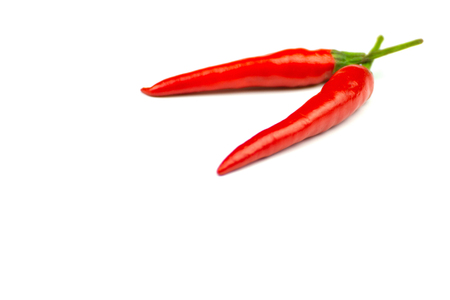 The pepper plants to the nature of the sphere of the long spikes isolated white background copy spaceの写真素材