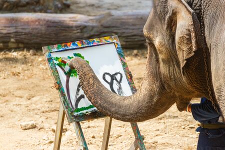 Elephant painting in picture elephant and tree frame at Lampang Thailandの写真素材