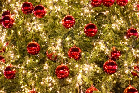 Christmas decorative with ball on Christmas treeの写真素材