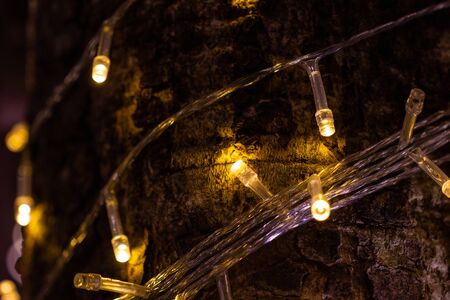 close up cable of string led lights on tree in the garden at night time used for decorating for beauty According to important festivalsの写真素材