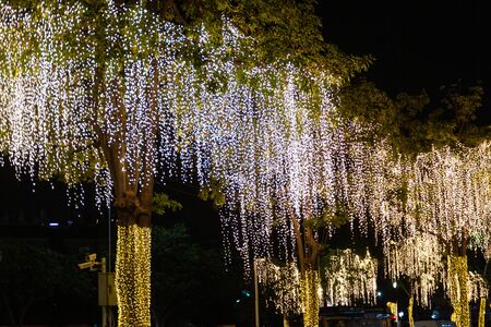 Decorative outdoor string lights hanging on tree in the garden at night time festivals season -...