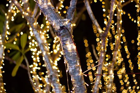 Decorative outdoor string lights hanging on tree in the garden at night time festivals season -...