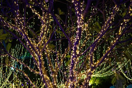 Decorative outdoor string lights hanging on tree in the garden at night time festivals season -...