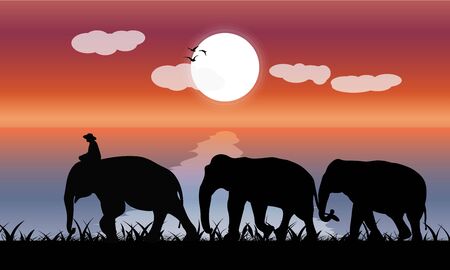 image silhouette twilight Black elephant with Elephant mahout walking at the beach with sea and moon background Evening light vector Illustration
のイラスト素材
