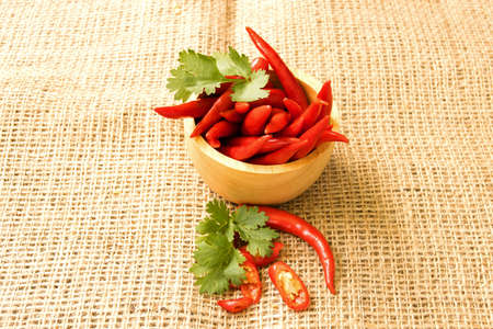 Chili - The pepper plants to the nature of the sphere of the long spikesの写真素材