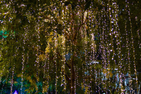 cable of string led lights on tree in the garden at night time used for decorating for beauty According to important festivalsの写真素材