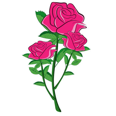 flower pink rose vector illustration graphics designのイラスト素材
