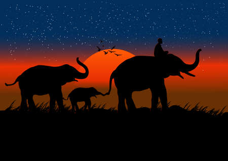 silhouette image Black elephant with Elephant mahout walking at the forest with mountain and sunset background Evening light vector Illustration&#xD;&#xA;のイラスト素材