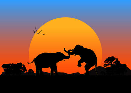 silhouette image Black elephant at the forest with mountain and sunset background Evening light vector Illustrationのイラスト素材