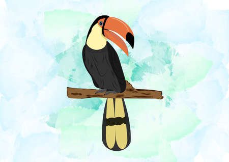 Bird Hornbill standing On branch of tree watercolor background Vector Illustrationのイラスト素材