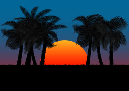 graphics image coconut tree with sunset or sunrise background orange and blue of sky vector illustrationのイラスト素材