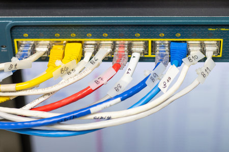 The network cables to connect the port of a switch to connect internet network, concept...
