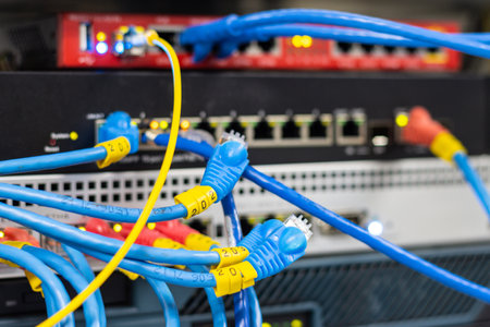 The network cables to connect the port of a switch to connect internet network, concept...