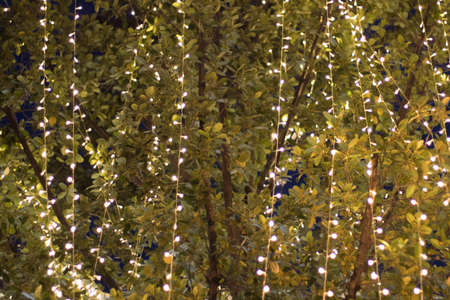 Blurred image Decorative outdoor string lights hanging in the garden at night time festivals season - decorative Christmas lights - happy new yearの写真素材