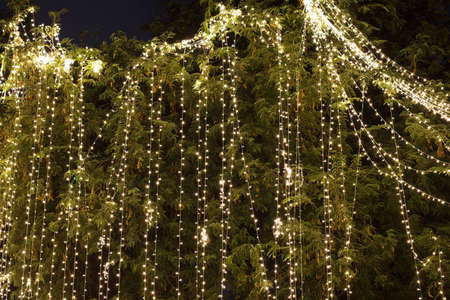 Decorative outdoor string lights hanging on tree in the garden at night timeの写真素材