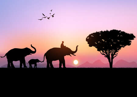 silhouette image Black elephant with Elephant mahout walking at the with mountain and sunset background Evening light vector Illustration&#xD;&#xA;のイラスト素材