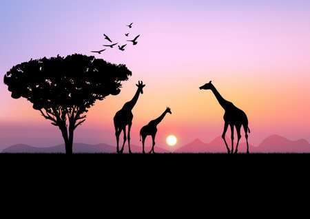 graphics landscape view giraffe at the forest with mountain background and twilight silhouette vector illustrationのイラスト素材