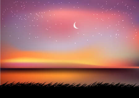 graphics drawing landscape view outdoor nature moon sky and star with the reservoir and twilight silhouette with grass on the ground for wallpaper background vector illustrationのイラスト素材
