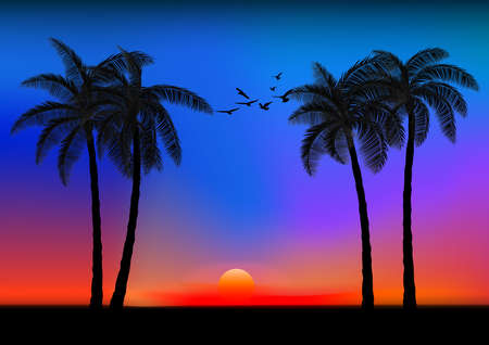 landscape view drawing palm with sunset or sunrise background vector illustration concept romanticのイラスト素材