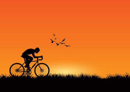 Silhouette of a cyclist at sunset with flying birds. Vector illustrationのイラスト素材