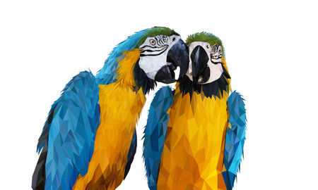 Polygon Graphics Blue and yellow two macaw parrot isolated on a white background vector illustration