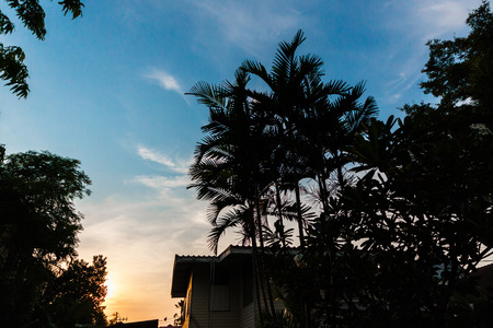 The silhouette of a house with tree during sunsetの写真素材
