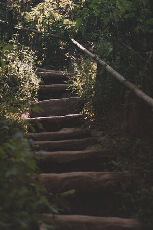 Stone stairs in the forestの写真素材