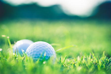 golf ball on grassの写真素材