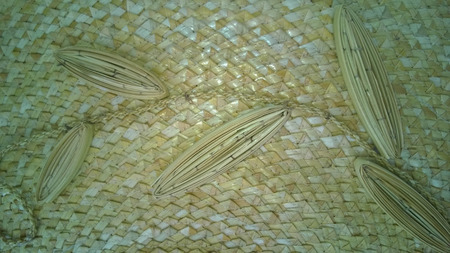 Vetiver Grassの写真素材