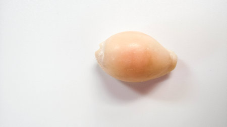 sea shell on white backgroundの写真素材