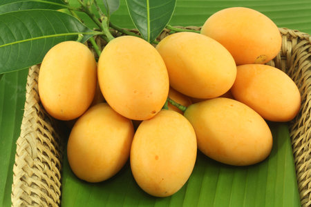 Exotic Thai Fruit. Maprang.