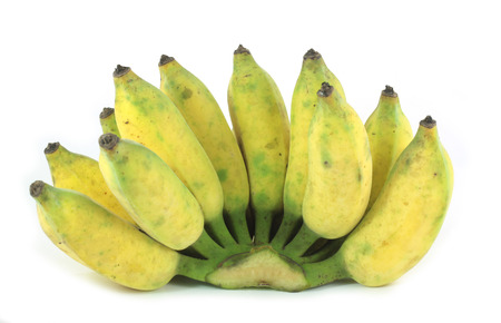 Cultivated Banana, Thai Banana.の写真素材