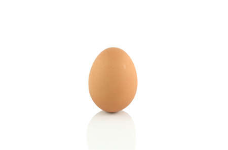 egg on white background