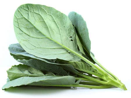 chinese broccoli on white backgroundの写真素材