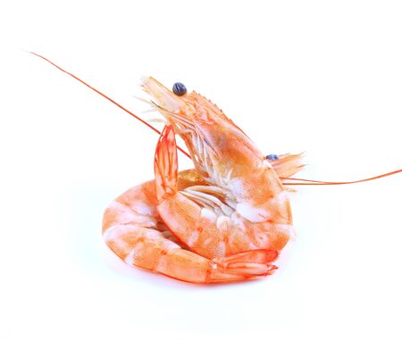 some shrimps on a white backgroundの写真素材