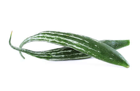Luffa acutangula isolate on white backgroundの写真素材