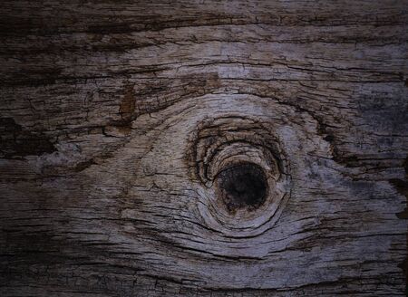 texture of bark wood use as natural backgroundの写真素材