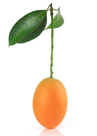 Plango thai fruit isolated on white backgrounの写真素材