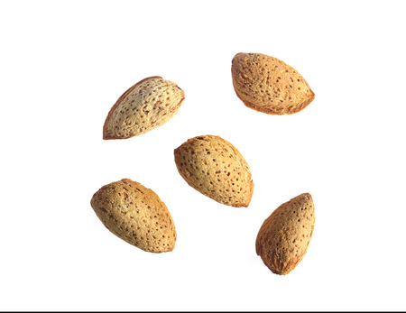 Almond separated isolate on a white background.