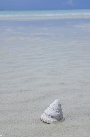 a beach in a holiday , 