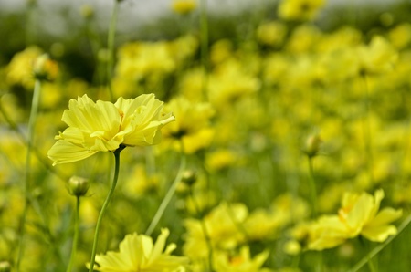 beautifulの写真素材