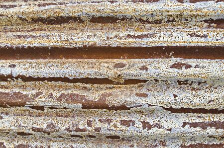 tinplate の写真素材