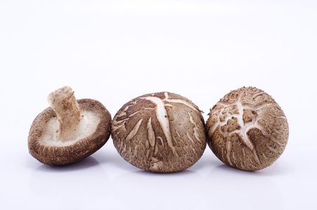 Shiitake mushrooms isolated on whiteの写真素材