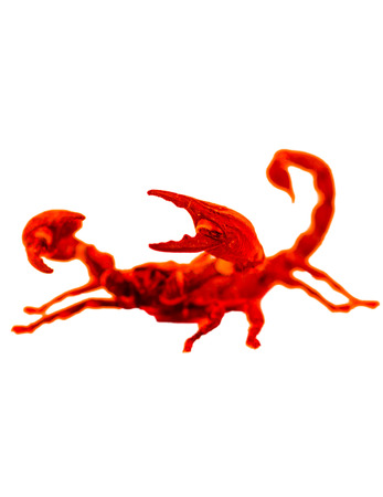 Black Scorpion in combat positionの写真素材