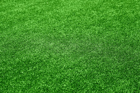 Grass backgroundの写真素材