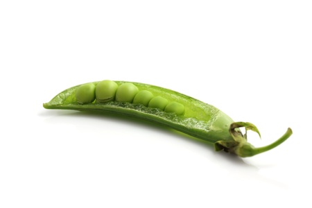 Soybean isolated in white backgroundの写真素材